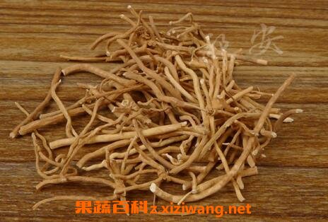 中药徐长卿的性味归经