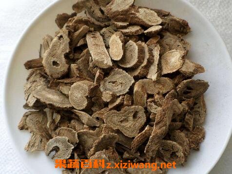 中药广木香性味归经 功效作用及应用