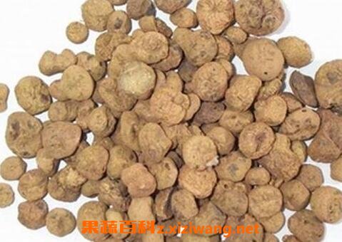 元胡的食用方法及禁忌