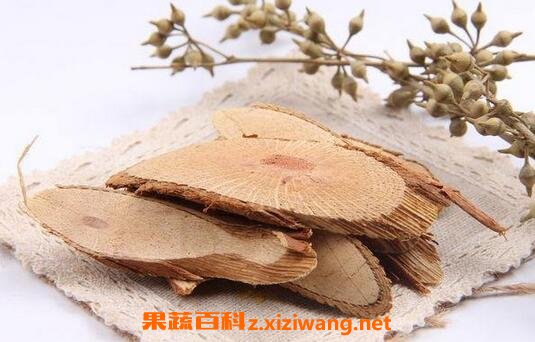 栀子根的功效与作用及食用方法