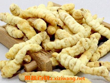 泽兰根的功效及食用方法