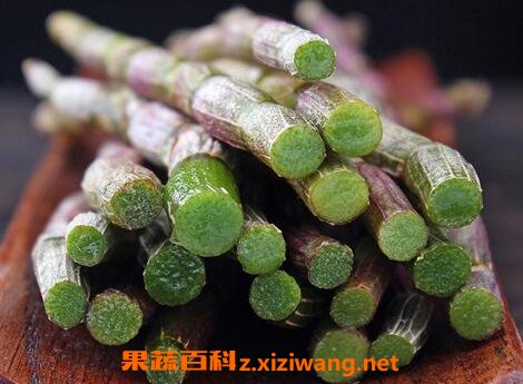 新鲜石斛的功效与作用