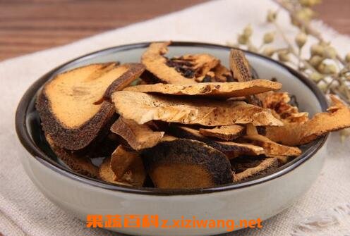 炒枳壳的功效与作用