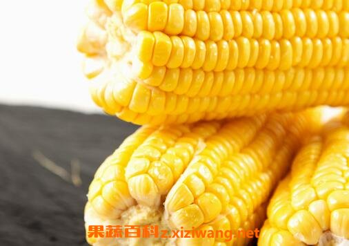 黄玉米的功效与作用