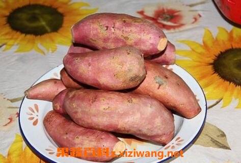 白薯不能和什么一起吃 吃白薯的禁忌