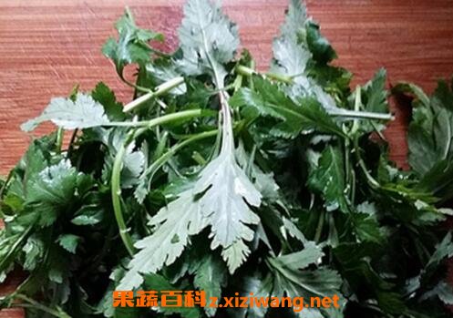 野菊花叶的功效与作用