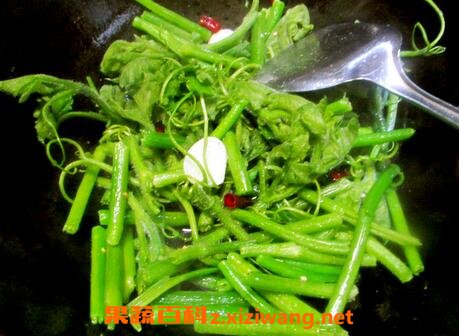 新鲜南瓜藤的功效与作用及食用方法