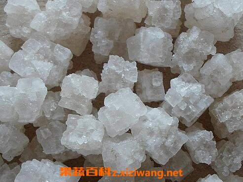 中药大青盐的药用价值