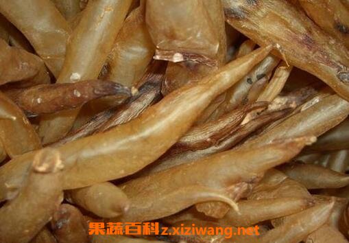 鳗鱼胶的功效与作用