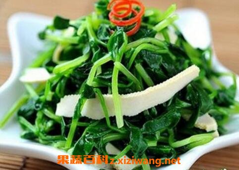 豌豆苗的营养价值与功效