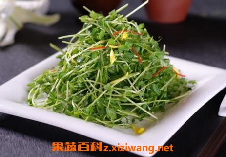 豌豆苗的营养价值与功效