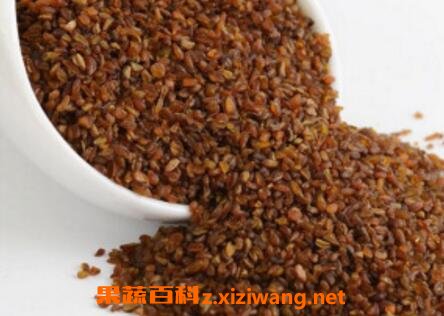 黑苦荞胚芽茶的功效与作用