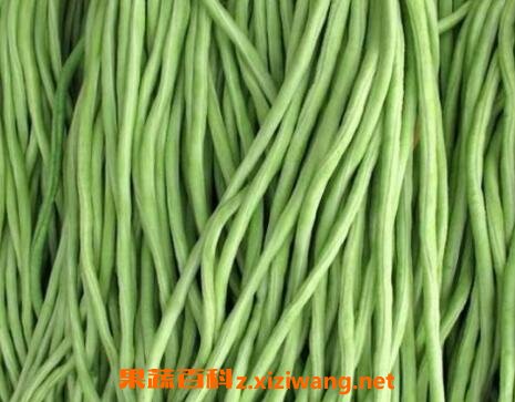 长豇豆的功效与作用