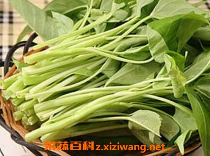 通心菜的功效与作用