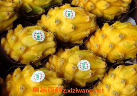 燕窝果的营养价值