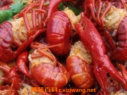 怎样腌制龙虾 虾米怎样腌制