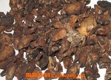 制半夏的功效与作用