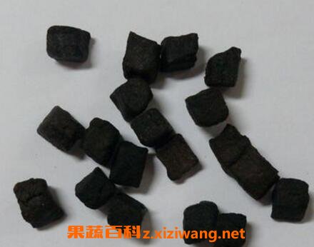 中药胆南星的功效与作用及禁忌