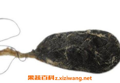 熊胆的功效与作用