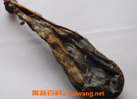 熊胆的功效与作用