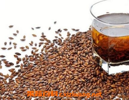 黑乌龙茶和大麦茶的区别