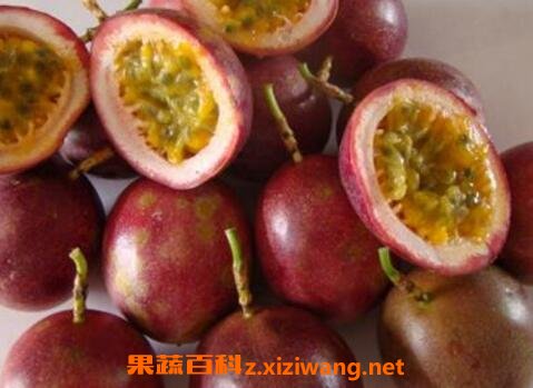 白香果皮的功效与作用