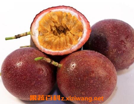 白香果皮泡水喝的功效与用处