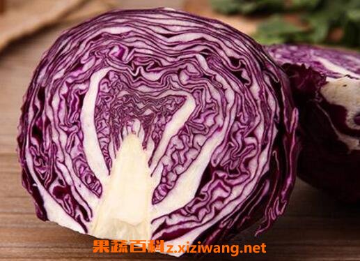 紫卷心菜与什么相克 紫卷心菜搭配什么食材好