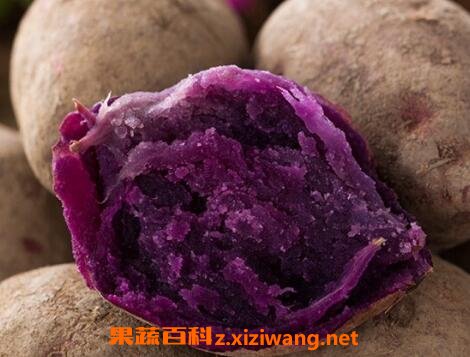 紫山芋跟什么食物相克 紫山芋不能跟什么一起吃