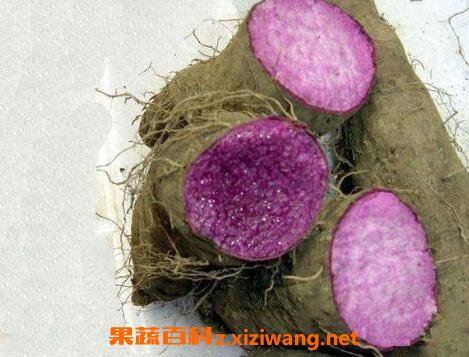 紫心山药的药用价值