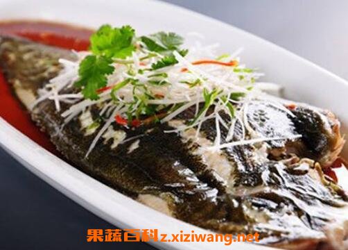 鸦片鱼的营养价值及功效