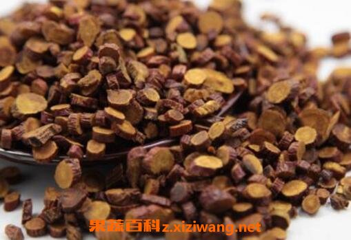 灸甘草的作用与功效