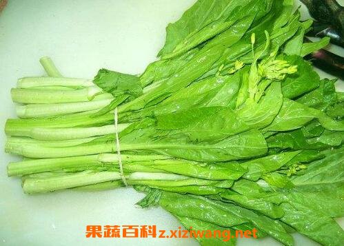 干油菜苔的功效与药用