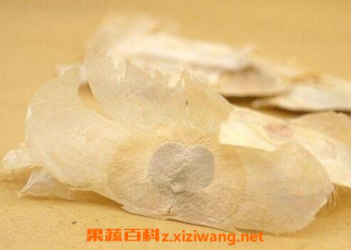  玉蝴蝶泡水喝的功效