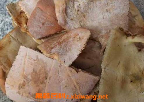 鱼板胶的功效与作用