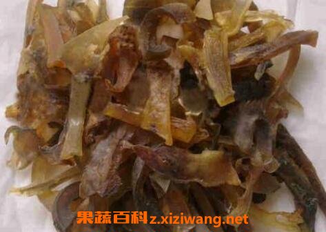 鱼板胶的功效与作用