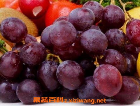 葡萄皮的功效与作用