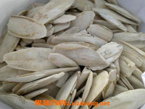 中药鱼古的功效与作用