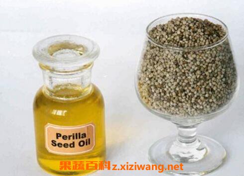 紫苏籽油的功效与作用及营养价值