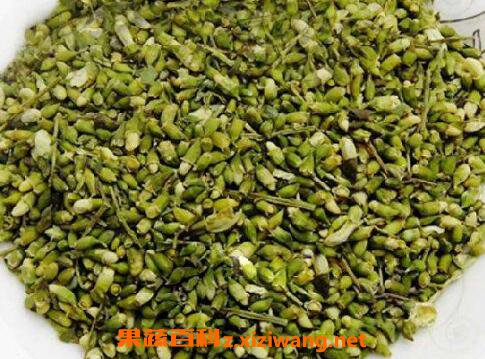 槐米的功效与作用 槐米的食用方法