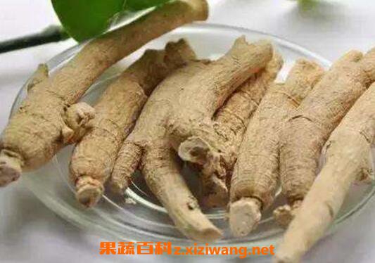 生晒参和西洋参的区别