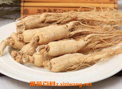 生晒参和红参的区别