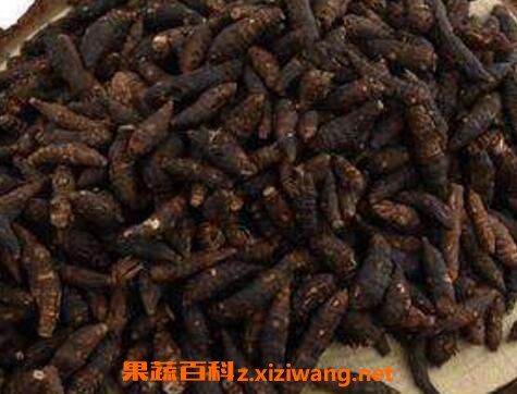 醋香附的作用与功效