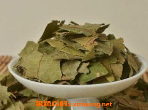 布渣叶的功效与作用及食用方法