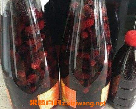 桑葚怎么泡酒 桑葚泡酒的方法教程