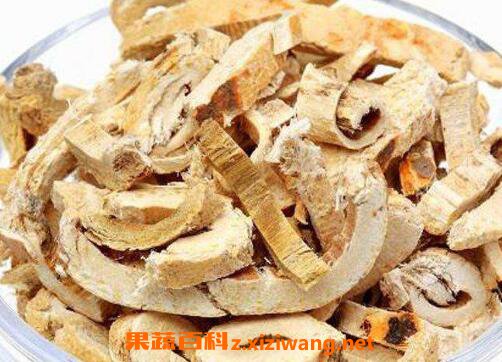 蜜桑白皮的功效与作用