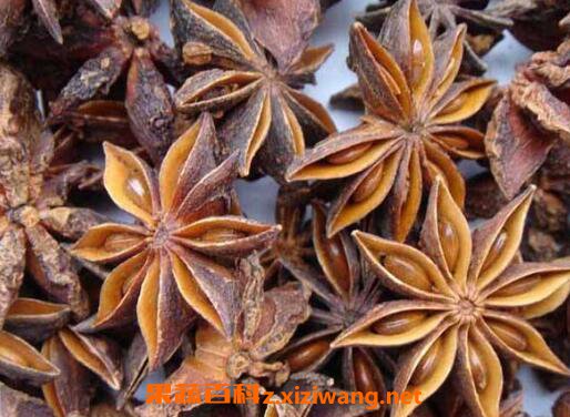 大茴香的功效与作用及食用方法