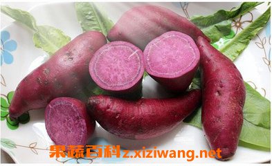 紫红薯