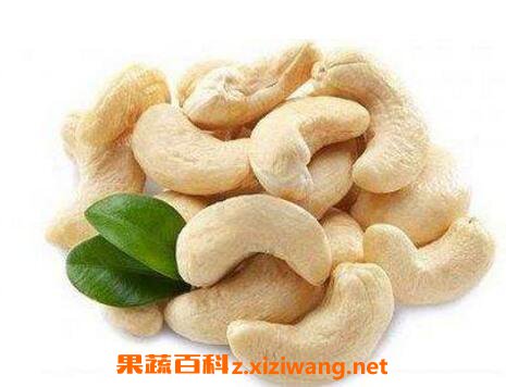 腰果能生吃吗 吃生腰果有什么好处