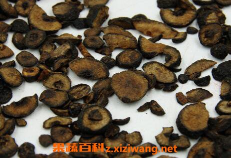 麸炒枳实的功效与作用